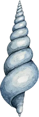 Watercolor Blue Spiral Seashell DTF Transfer - Ready to Press